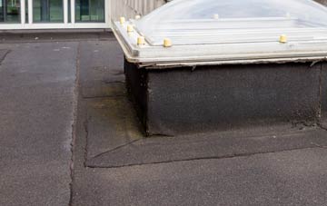 disadvantages of Old Forge flat roofs